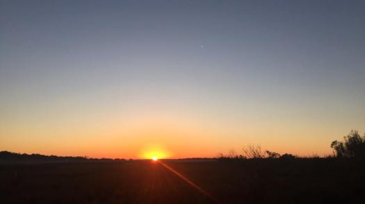 25289643_552998885039436_5154537707992442021_n