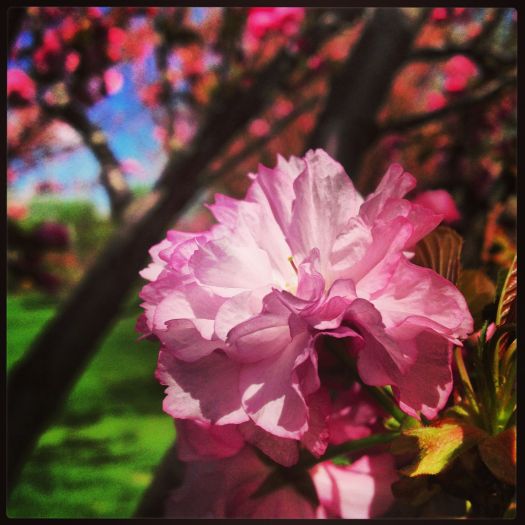 4cf87d3b160259bc9d3595607ffcb2d3